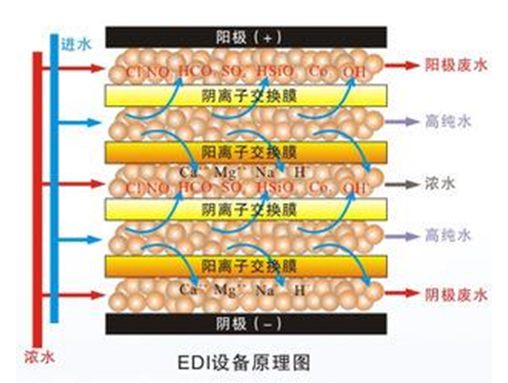 EDIbϵy(tng)